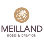 [Anglais] Meilland