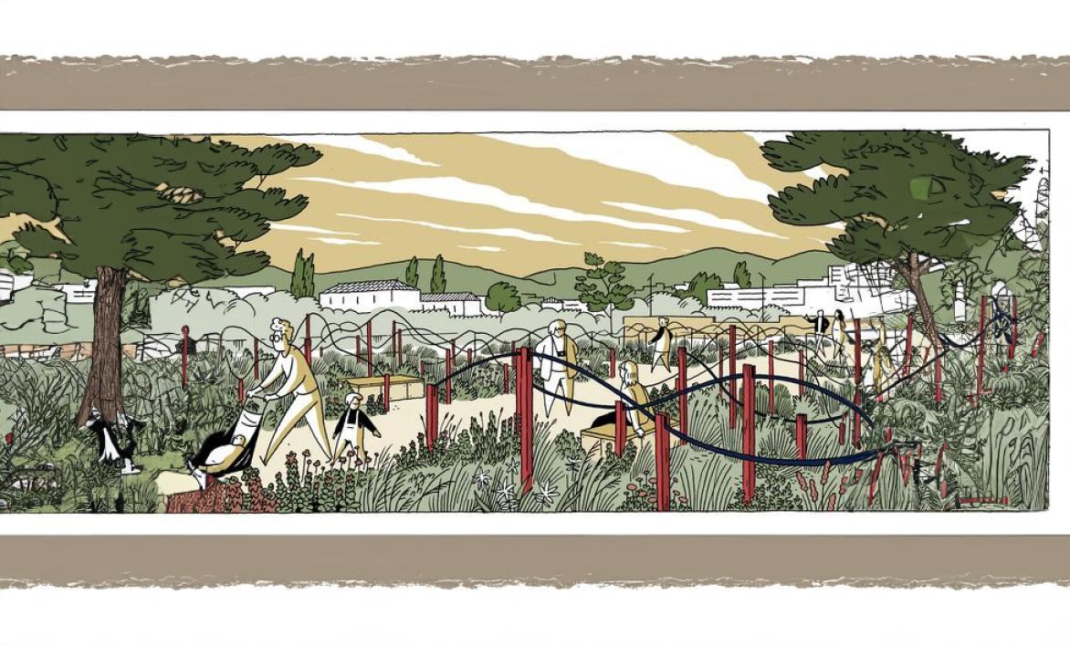 Dernières Vendanges