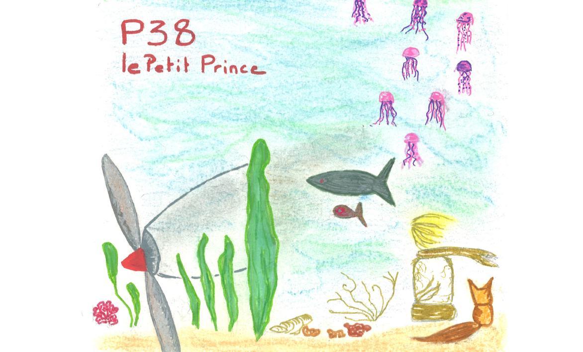 Le petit Prince