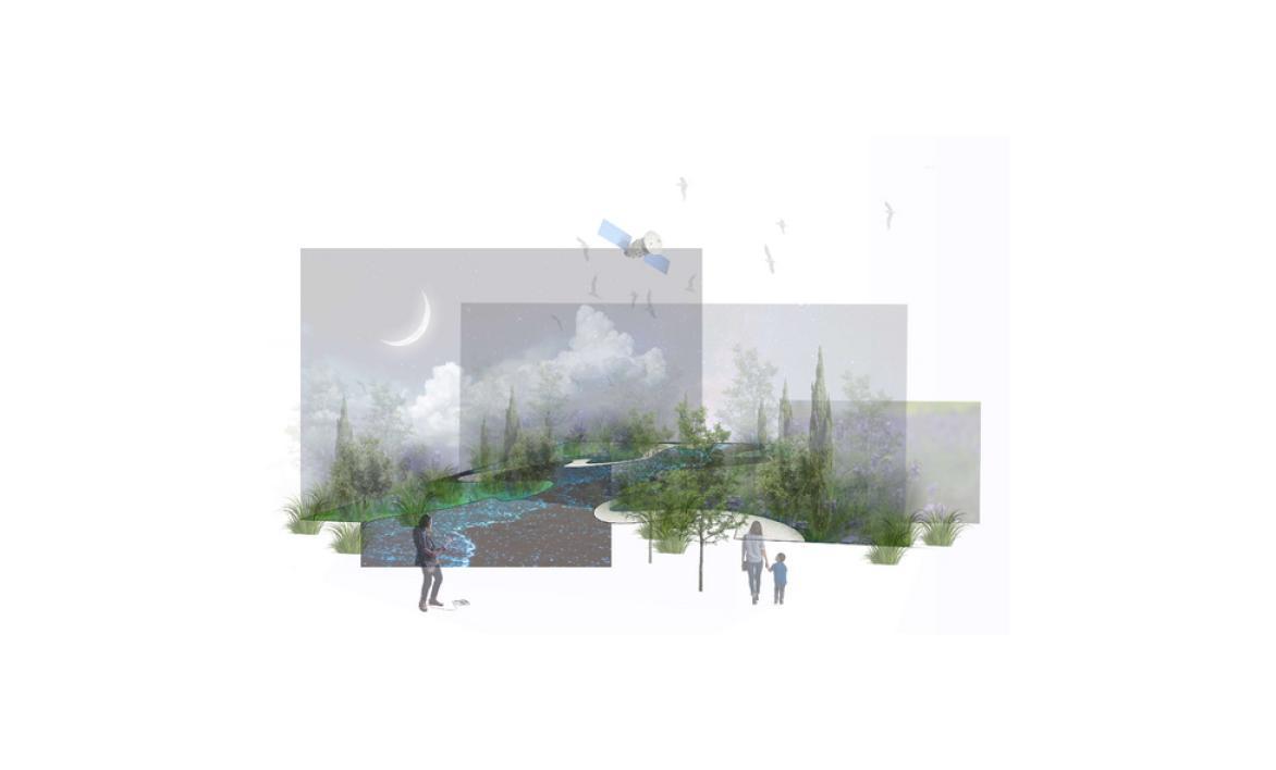 The blue tide garden