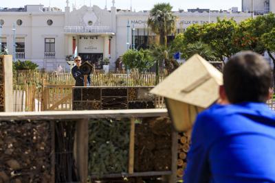 Peu importe aux butineurs - Agrandir l'image 1 sur 12, fenêtre modale