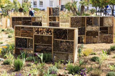 Peu importe aux butineurs - Agrandir l'image 3 sur 12, fenêtre modale