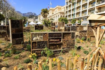 Peu importe aux butineurs - Agrandir l'image 7 sur 12, fenêtre modale