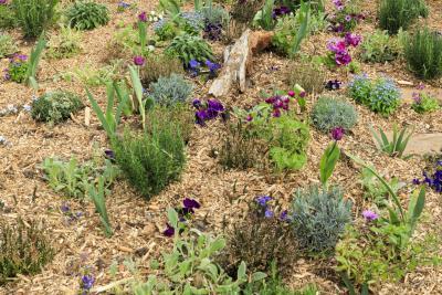 Peu importe aux butineurs - Agrandir l'image 12 sur 12, fenêtre modale