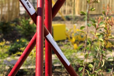 Vertigineuses Clés de Sol - Agrandir l'image 1 sur 10, fenêtre modale