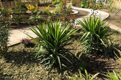 Vertigineuses Clés de Sol - Agrandir l'image 8 sur 10, fenêtre modale
