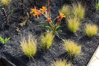 Fire - Agrandir l'image 7 sur 12, fenêtre modale