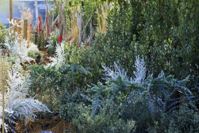 La Jetée - Agrandir l'image 1 sur 13, fenêtre modale