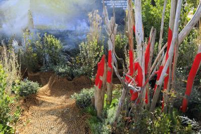 La Jetée - Agrandir l'image 8 sur 13, fenêtre modale