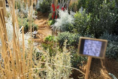 La Jetée - Agrandir l'image 9 sur 13, fenêtre modale