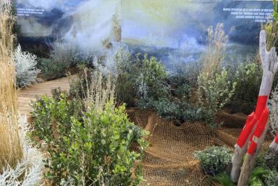 La Jetée - Agrandir l'image 13 sur 13, fenêtre modale