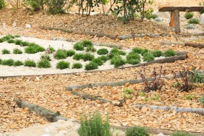 Perspective d’avenir : Effervescence et réminiscence d'un jardin classique - Agrandir l'image 9 sur 12, fenêtre modale