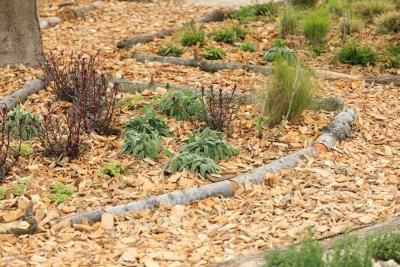 Perspectives d'avenir - Agrandir l'image 3 sur 12, fenêtre modale