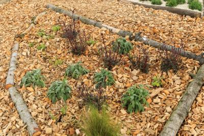 Perspectives d'avenir - Agrandir l'image 5 sur 12, fenêtre modale