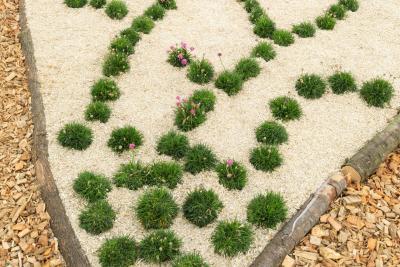 Perspectives d'avenir - Agrandir l'image 6 sur 12, fenêtre modale