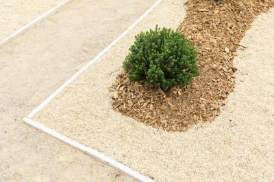 Perspective d’avenir : Effervescence et réminiscence d'un jardin classique - Agrandir l'image 11 sur 12, fenêtre modale