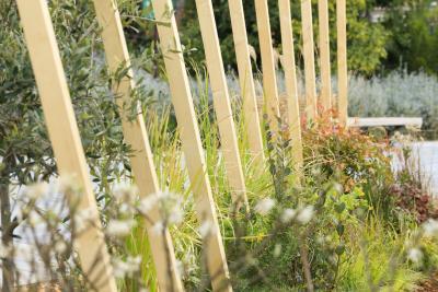 Twistcape - Agrandir l'image 2 sur 13, fenêtre modale