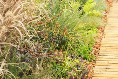 Twistcape - Agrandir l'image 4 sur 13, fenêtre modale