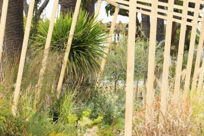 Twistcape - Agrandir l'image 5 sur 13, fenêtre modale