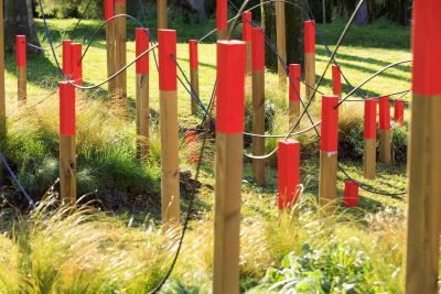Dernières Vendanges - Agrandir l'image 1 sur 12, fenêtre modale