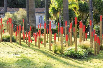 Dernières Vendanges - Agrandir l'image 5 sur 12, fenêtre modale