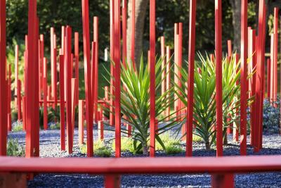 Red Forest - Agrandir l'image 3 sur 11, fenêtre modale