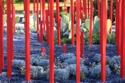 Red Forest - Agrandir l'image 4 sur 11, fenêtre modale