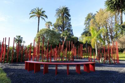 Red Forest - Agrandir l'image 6 sur 11, fenêtre modale