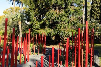 Red Forest - Agrandir l'image 8 sur 11, fenêtre modale