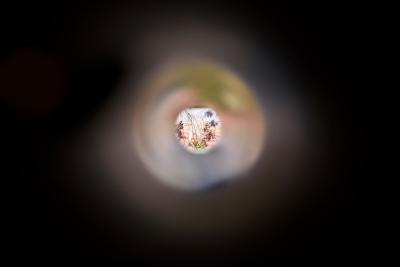 Longue vue - Agrandir l'image 6 sur 11, fenêtre modale