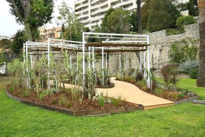 Dansité - Agrandir l'image 5 sur 8, fenêtre modale