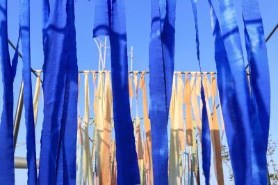 Confie les au vent - Agrandir l'image 2 sur 2, fenêtre modale