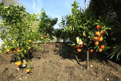 L'îlot Gourmand - Agrandir l'image 1 sur 8, fenêtre modale