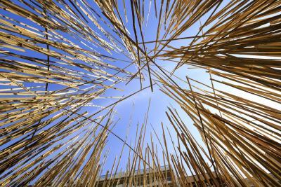 Jardins secrets - Agrandir l'image 7 sur 11, fenêtre modale