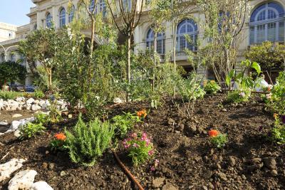 L'îlot Gourmand - Agrandir l'image 7 sur 8, fenêtre modale