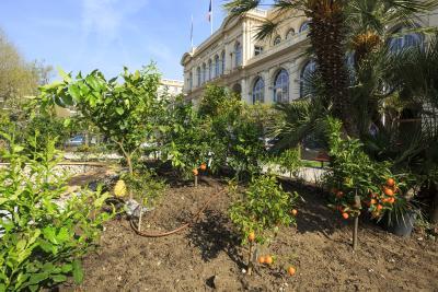 L'îlot Gourmand - Agrandir l'image 4 sur 8, fenêtre modale