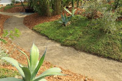 Les Ondées - Agrandir l'image 2 sur 4, fenêtre modale