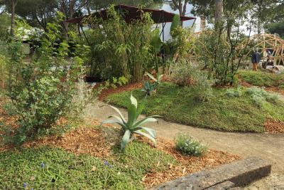 Les Ondées - Agrandir l'image 3 sur 4, fenêtre modale