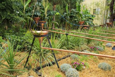 Fragrances Naturelles - Agrandir l'image 4 sur 6, fenêtre modale