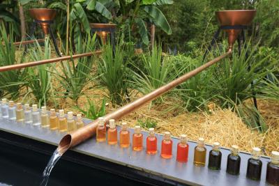 Fragrances Naturelles - Agrandir l'image 3 sur 6, fenêtre modale