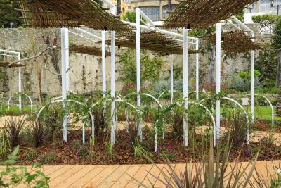 Dansité - Agrandir l'image 3 sur 8, fenêtre modale