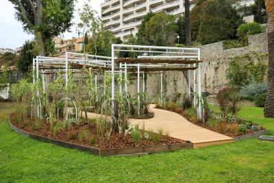 Dansité - Agrandir l'image 4 sur 8, fenêtre modale