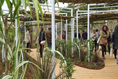 Dansité - Agrandir l'image 8 sur 8, fenêtre modale