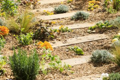 Peu importe aux butineurs - Agrandir l'image 6 sur 12, fenêtre modale