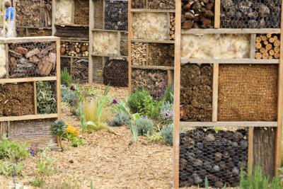 Peu importe aux butineurs - Agrandir l'image 5 sur 12, fenêtre modale