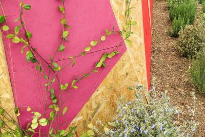 45 DEGRES - Agrandir l'image 2 sur 12, fenêtre modale