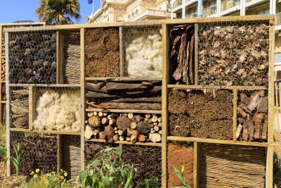 Peu importe aux butineurs - Agrandir l'image 8 sur 12, fenêtre modale