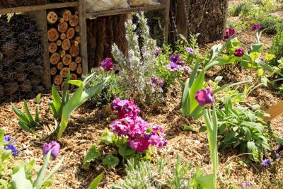 Peu importe aux butineurs - Agrandir l'image 9 sur 12, fenêtre modale