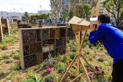 Peu importe aux butineurs - Agrandir l'image 10 sur 12, fenêtre modale