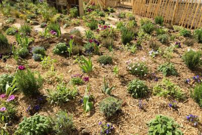 Peu importe aux butineurs - Agrandir l'image 11 sur 12, fenêtre modale